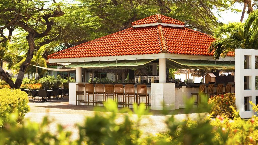 The Westin Aruba Resort (Adults Only) Palm Beach Eksteriør bilde