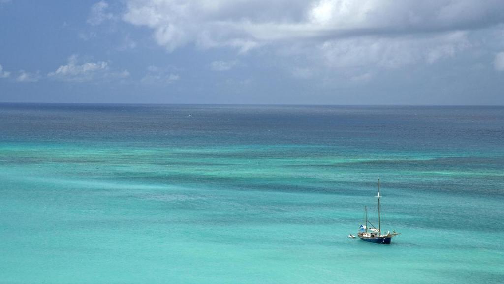 The Westin Aruba Resort (Adults Only) Palm Beach Eksteriør bilde